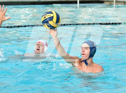 Thumbnail 2 in Antelope @ Inderkum photogallery.