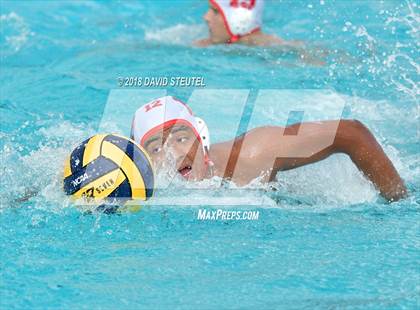 Thumbnail 1 in Antelope @ Inderkum photogallery.