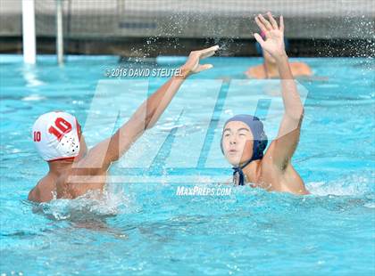 Thumbnail 3 in Antelope @ Inderkum photogallery.