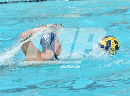 Thumbnail 1 in Antelope @ Inderkum photogallery.