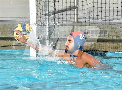 Thumbnail 1 in Antelope @ Inderkum photogallery.
