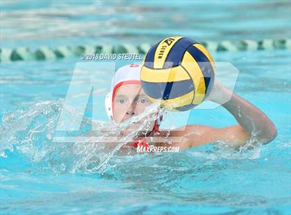 Thumbnail 2 in Antelope @ Inderkum photogallery.