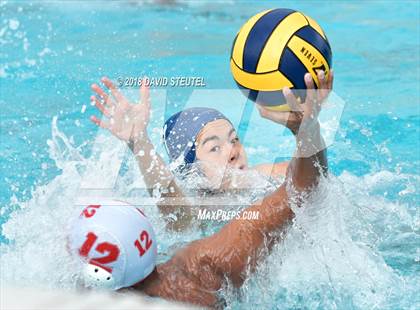 Thumbnail 3 in Antelope @ Inderkum photogallery.
