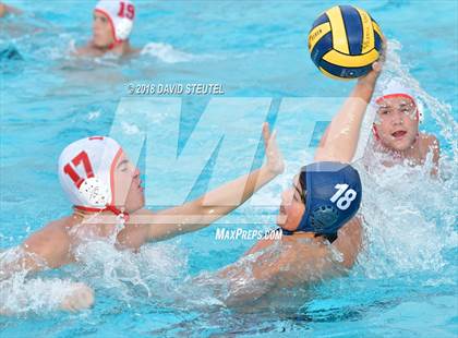 Thumbnail 2 in Antelope @ Inderkum photogallery.