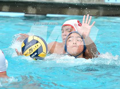 Thumbnail 2 in Antelope @ Inderkum photogallery.