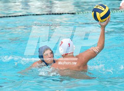 Thumbnail 3 in Antelope @ Inderkum photogallery.