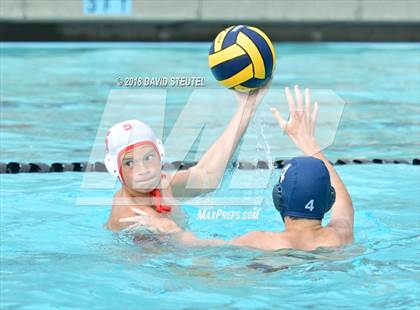 Thumbnail 1 in Antelope @ Inderkum photogallery.