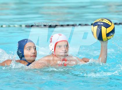 Thumbnail 1 in Antelope @ Inderkum photogallery.