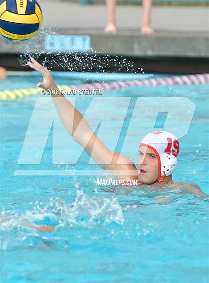 Thumbnail 2 in Antelope @ Inderkum photogallery.