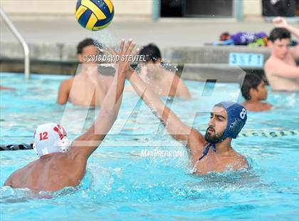 Thumbnail 2 in Antelope @ Inderkum photogallery.