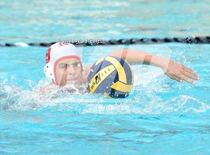 Thumbnail 2 in Antelope @ Inderkum photogallery.