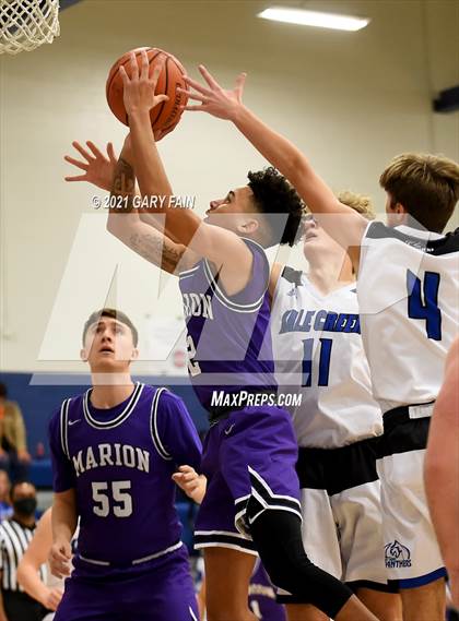 Thumbnail 1 in Marion County @ Sale Creek photogallery.