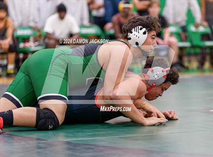Thumbnail 1 in Del Sol vs Virgin Valley photogallery.