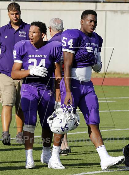 Thumbnail 2 in Mahopac @ New Rochelle photogallery.