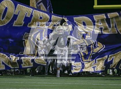 Thumbnail 3 in Great Oak @ Notre Dame (SO) photogallery.