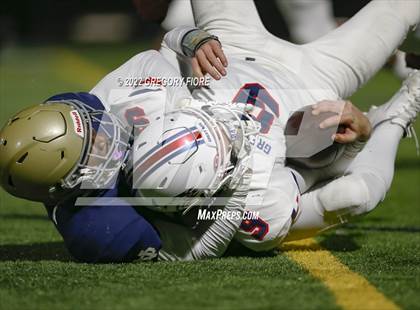 Thumbnail 3 in Great Oak @ Notre Dame (SO) photogallery.