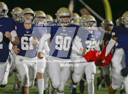 Thumbnail 3 in Great Oak @ Notre Dame (SO) photogallery.