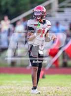 Photo from the gallery "Furr @ Northside"