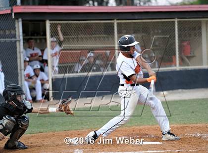Thumbnail 1 in Mitchell @ Zephyrhills  photogallery.