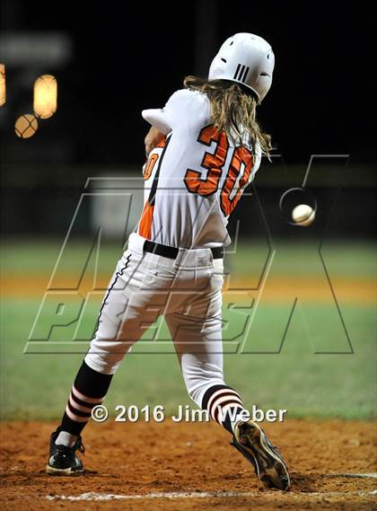 Thumbnail 1 in Mitchell @ Zephyrhills  photogallery.
