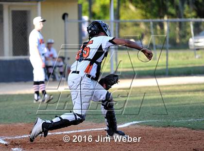 Thumbnail 3 in Mitchell @ Zephyrhills  photogallery.