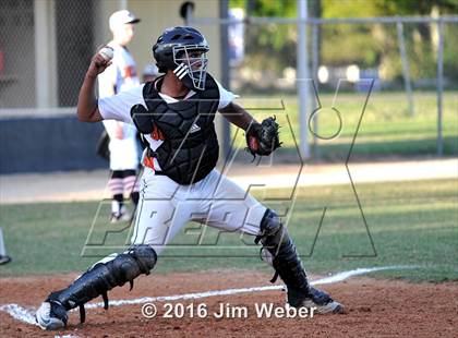 Thumbnail 1 in Mitchell @ Zephyrhills  photogallery.
