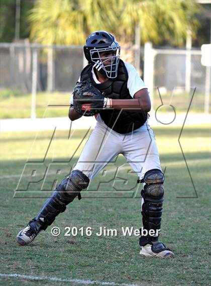 Thumbnail 2 in Mitchell @ Zephyrhills  photogallery.