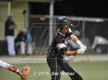 Thumbnail 1 in Mitchell @ Zephyrhills  photogallery.