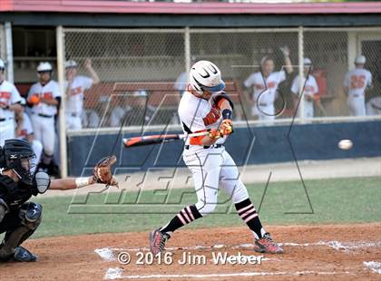 Thumbnail 3 in Mitchell @ Zephyrhills  photogallery.