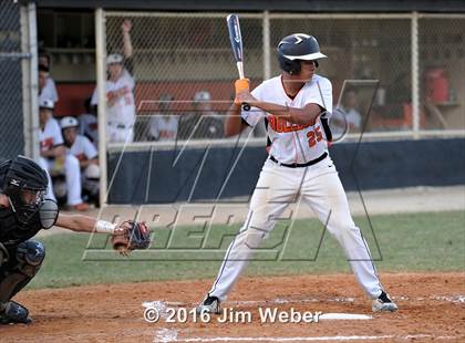 Thumbnail 3 in Mitchell @ Zephyrhills  photogallery.