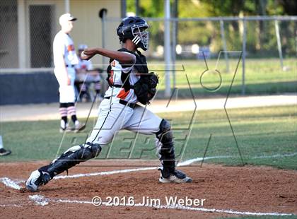 Thumbnail 2 in Mitchell @ Zephyrhills  photogallery.