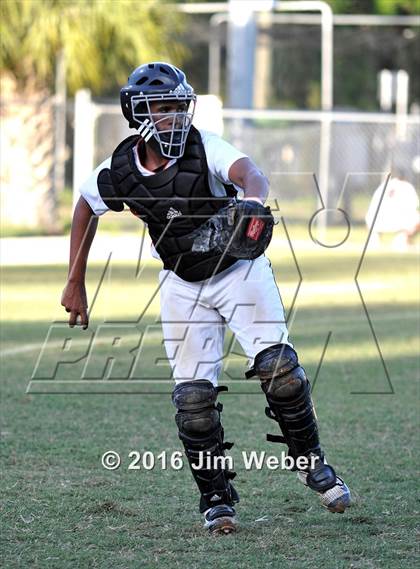 Thumbnail 1 in Mitchell @ Zephyrhills  photogallery.