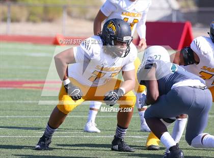 Thumbnail 3 in Helix vs. Saguaro (Honor Bowl) photogallery.