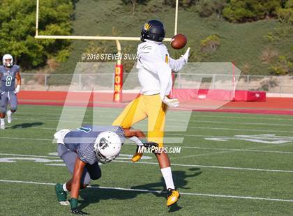 Thumbnail 1 in Helix vs. Saguaro (Honor Bowl) photogallery.