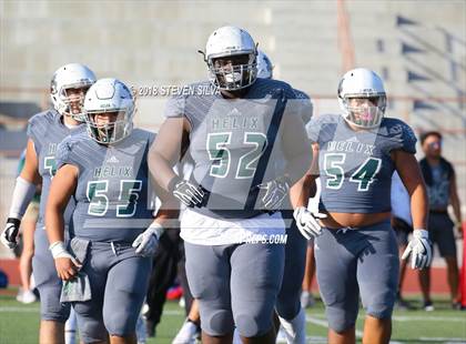 Thumbnail 3 in Helix vs. Saguaro (Honor Bowl) photogallery.