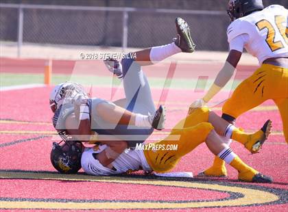 Thumbnail 2 in Helix vs. Saguaro (Honor Bowl) photogallery.
