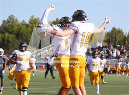 Thumbnail 1 in Helix vs. Saguaro (Honor Bowl) photogallery.