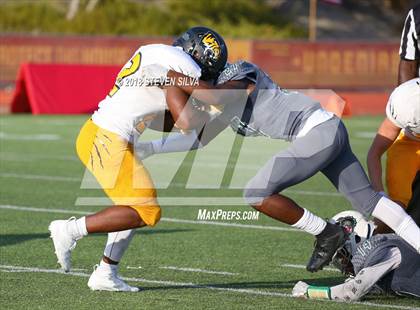 Thumbnail 2 in Helix vs. Saguaro (Honor Bowl) photogallery.