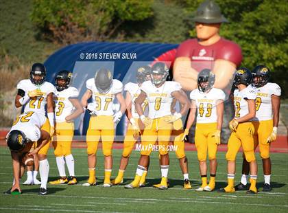 Thumbnail 3 in Helix vs. Saguaro (Honor Bowl) photogallery.