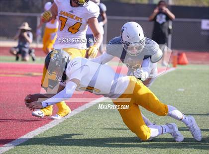 Thumbnail 1 in Helix vs. Saguaro (Honor Bowl) photogallery.