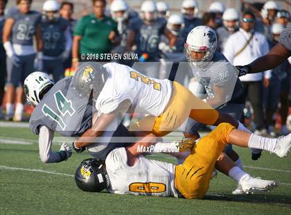 Thumbnail 2 in Helix vs. Saguaro (Honor Bowl) photogallery.