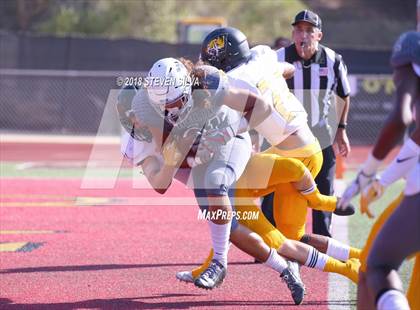 Thumbnail 3 in Helix vs. Saguaro (Honor Bowl) photogallery.