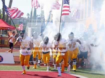 Thumbnail 3 in Helix vs. Saguaro (Honor Bowl) photogallery.