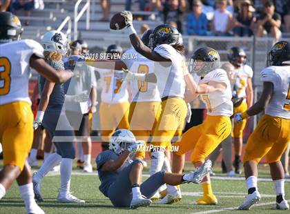 Thumbnail 1 in Helix vs. Saguaro (Honor Bowl) photogallery.