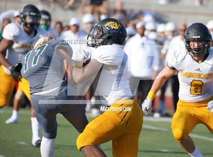 Thumbnail 2 in Helix vs. Saguaro (Honor Bowl) photogallery.