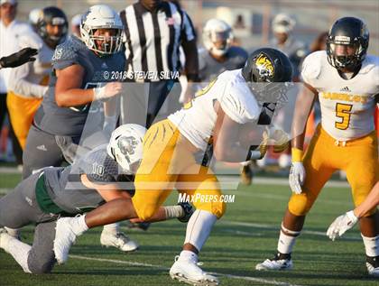 Thumbnail 3 in Helix vs. Saguaro (Honor Bowl) photogallery.