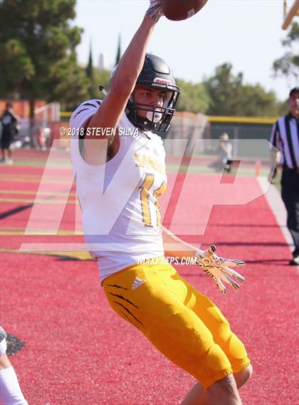 Thumbnail 3 in Helix vs. Saguaro (Honor Bowl) photogallery.