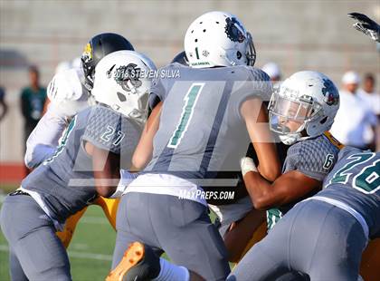 Thumbnail 1 in Helix vs. Saguaro (Honor Bowl) photogallery.