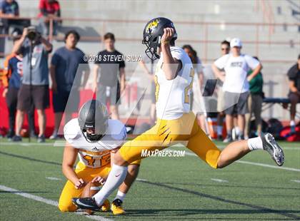 Thumbnail 1 in Helix vs. Saguaro (Honor Bowl) photogallery.