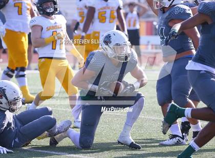 Thumbnail 2 in Helix vs. Saguaro (Honor Bowl) photogallery.